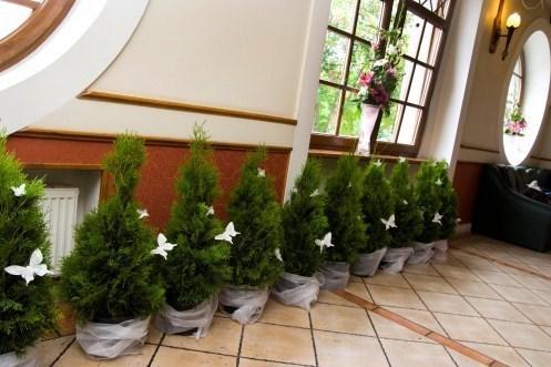 Hotel Jankow Żary Extérieur photo